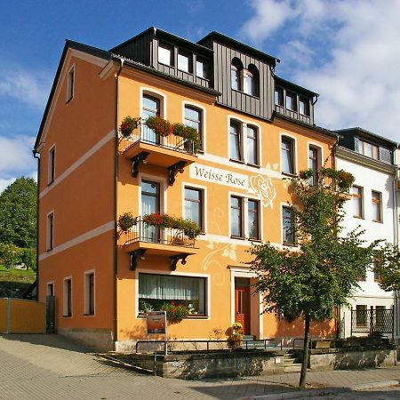 Pension Weisse Rose, Parkplatz, Fruehstueck, Wlan, Zentral Bad Elster Exterior foto