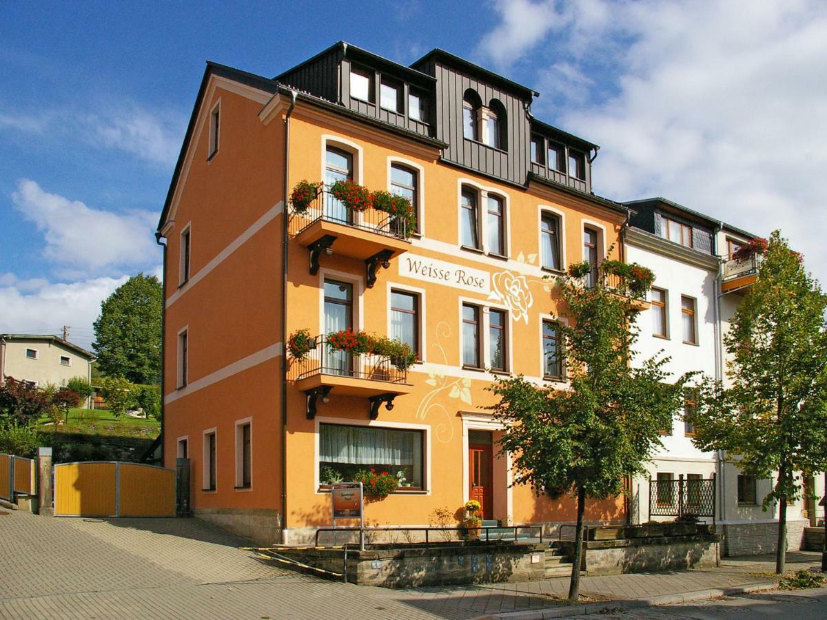 Pension Weisse Rose, Parkplatz, Fruehstueck, Wlan, Zentral Bad Elster Exterior foto