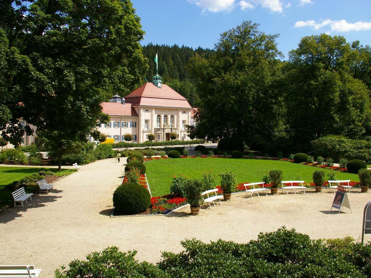 Pension Weisse Rose, Parkplatz, Fruehstueck, Wlan, Zentral Bad Elster Exterior foto